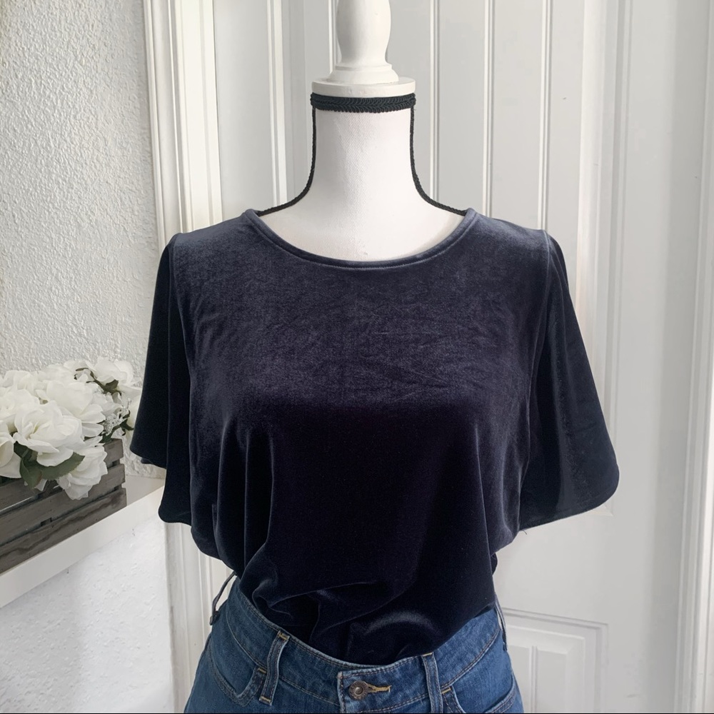 Madewell | Blue Velvet Flutter Sleeves Top